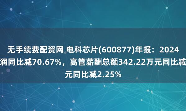 无手续费配资网 电科芯片(600877)年报：2024年净利润同比减70.67%，高管薪酬总额342.22万元同比减2.25%