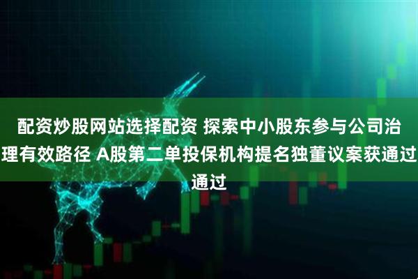配资炒股网站选择配资 探索中小股东参与公司治理有效路径 A股第二单投保机构提名独董议案获通过